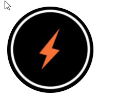 Flash Security Services Ltd