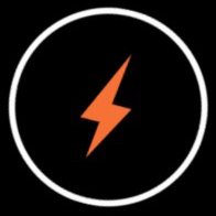 Flash Security Services Ltd